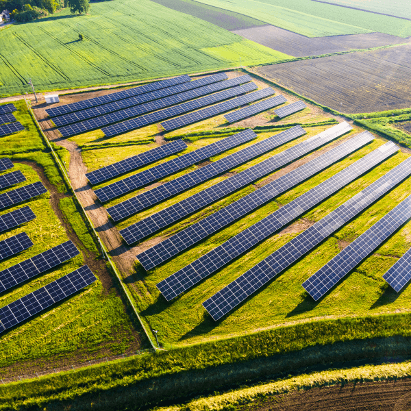 Solar panels on a green field