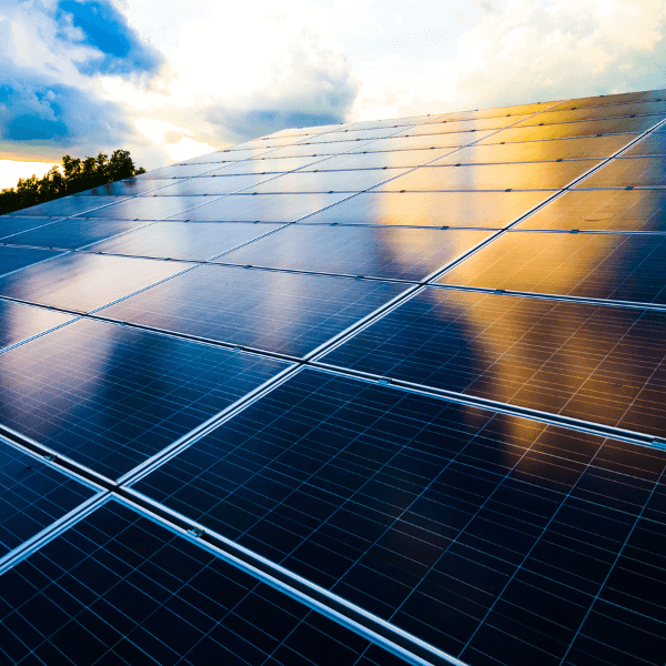 Energy Market Wrap: September 2024