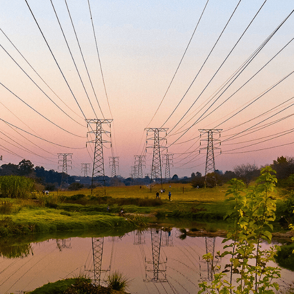 Energy Market Wrap: May 2024