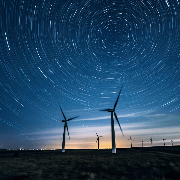 Energy Market Wrap: June 2024