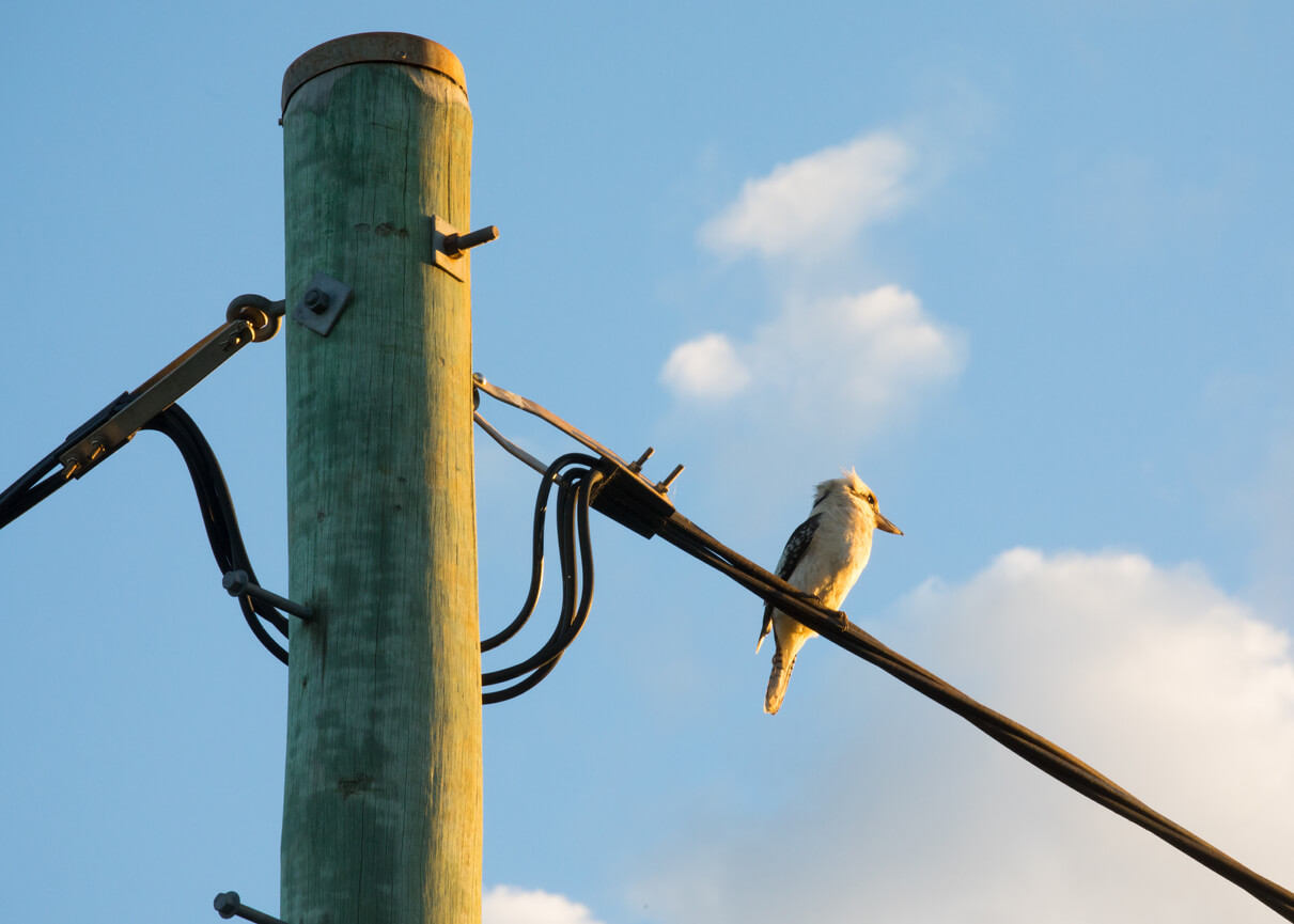 Improving our energy performance 